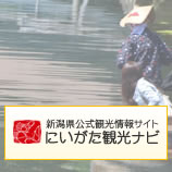 にいがた観光ナビ