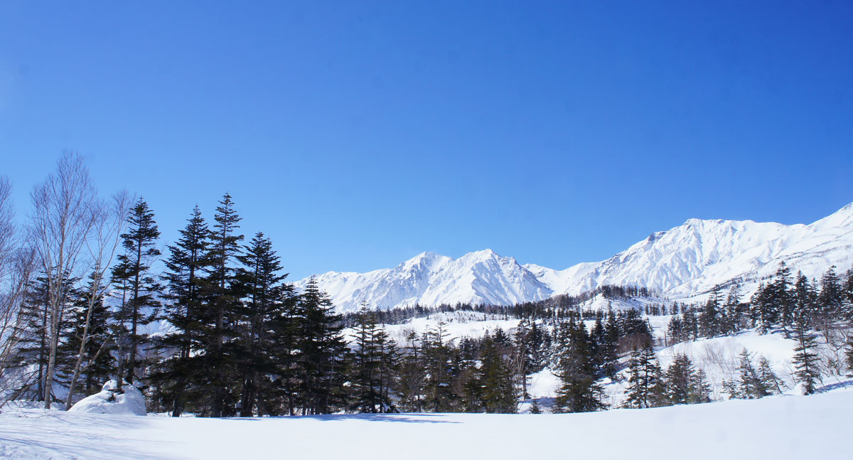 雪化粧の白馬山麓